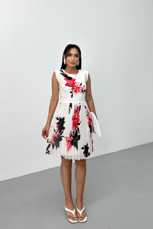 PLEATED DOUBLE DRESS